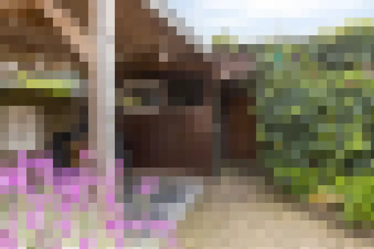 Grote Maote 5 Aalten thumbnail 29