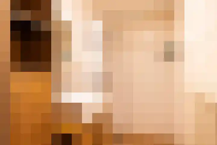 Grote Maote 66 Aalten thumbnail 14