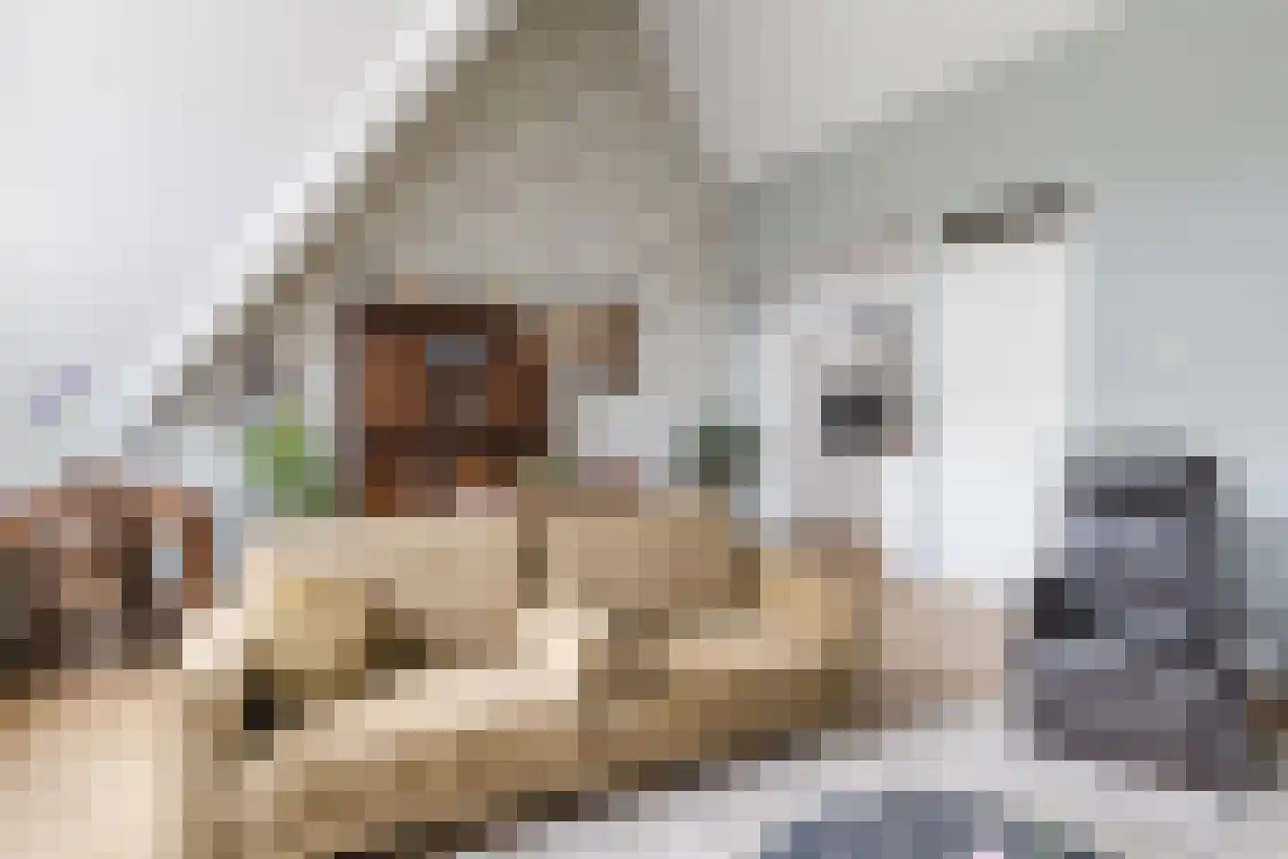 Grote Markt 30 Nieuwleusen thumbnail 11