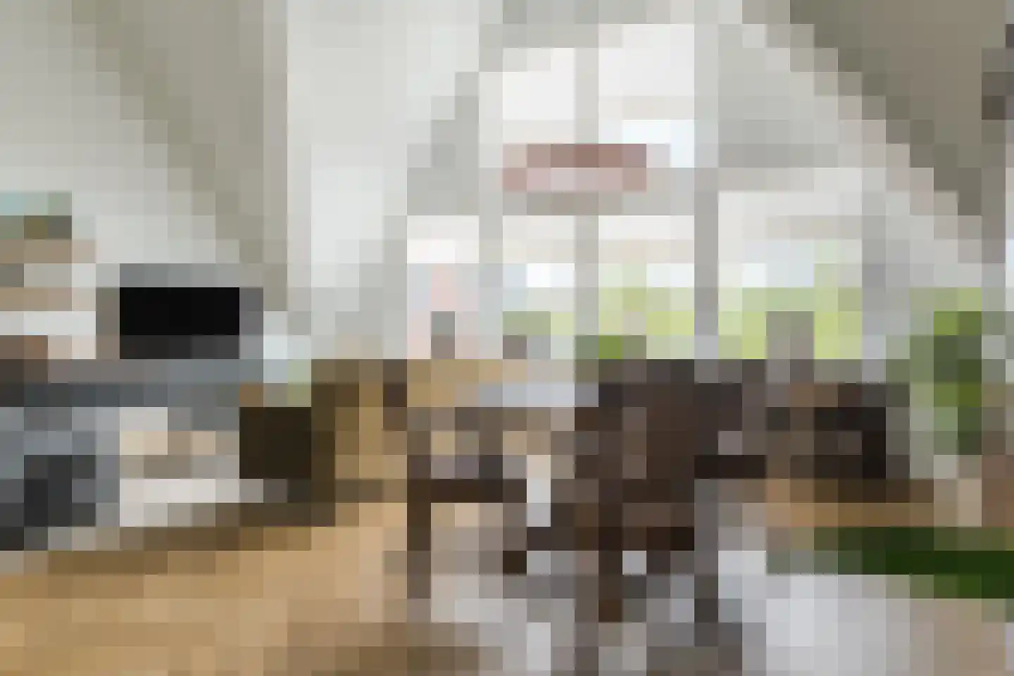 Grote Markt 30 Nieuwleusen thumbnail 12