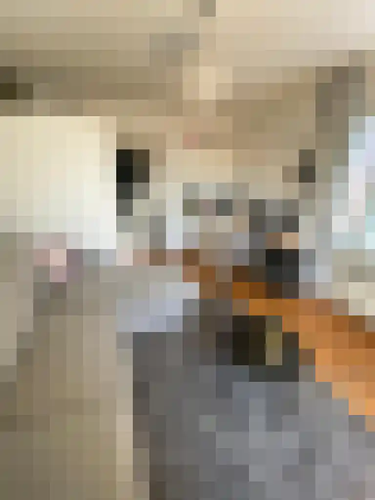 Grote Markt 43 Groningen thumbnail 5