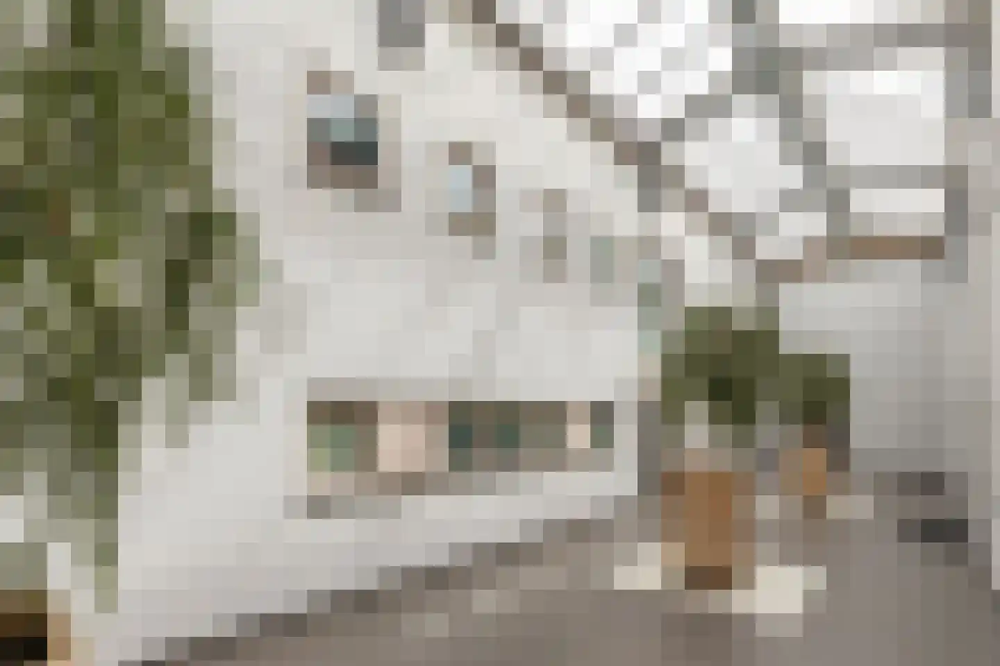 Grote Markt 66 Raalte thumbnail 47