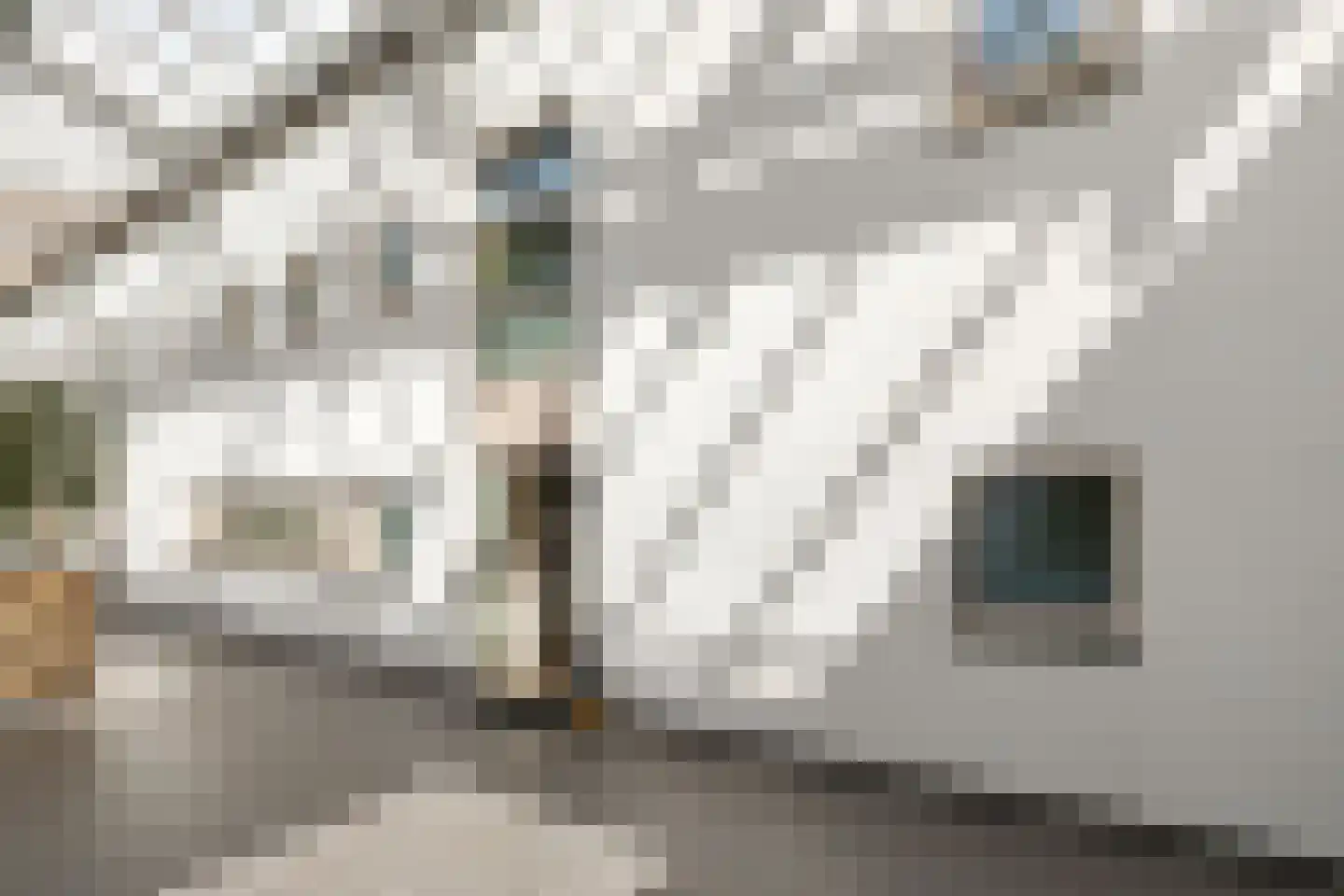 Grote Markt 66 Raalte thumbnail 48