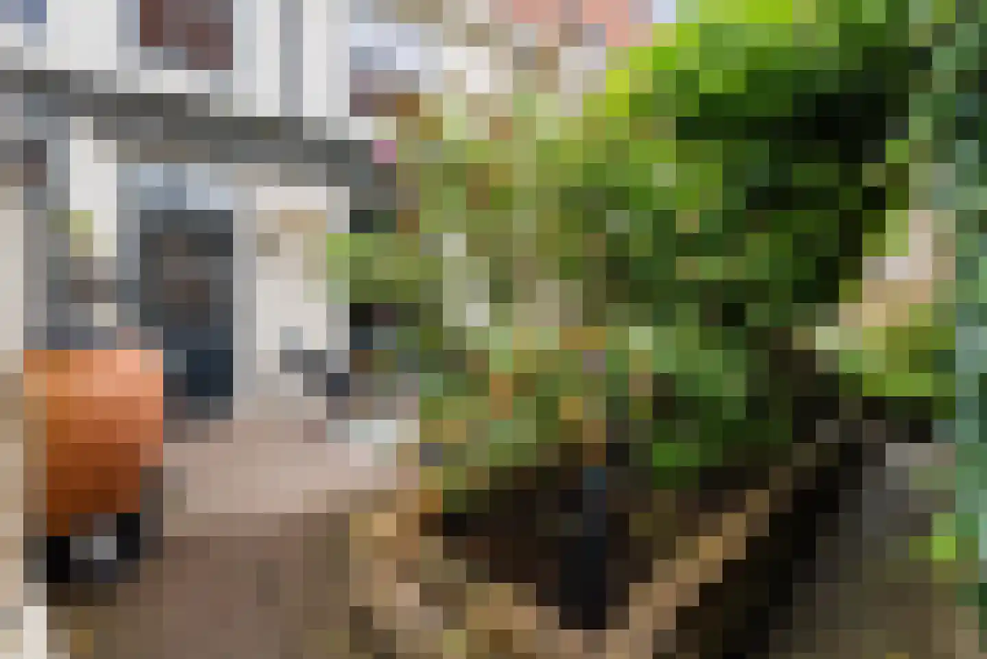 Grote Marktstraat 16 Harderwijk thumbnail 42