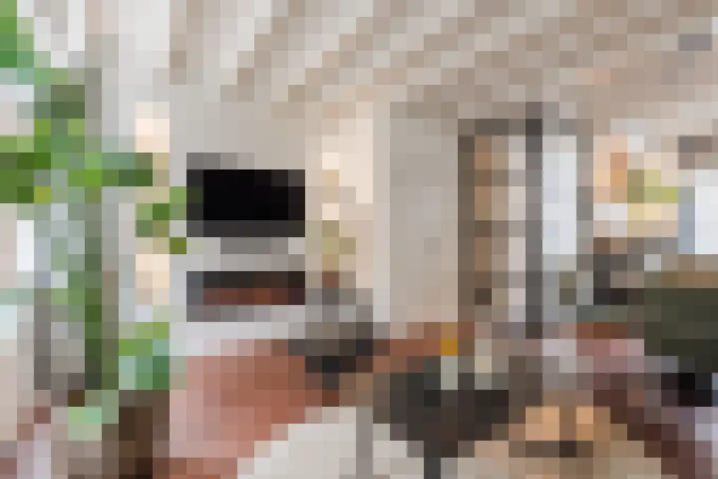 Grote Marktstraat 16 Harderwijk thumbnail 7