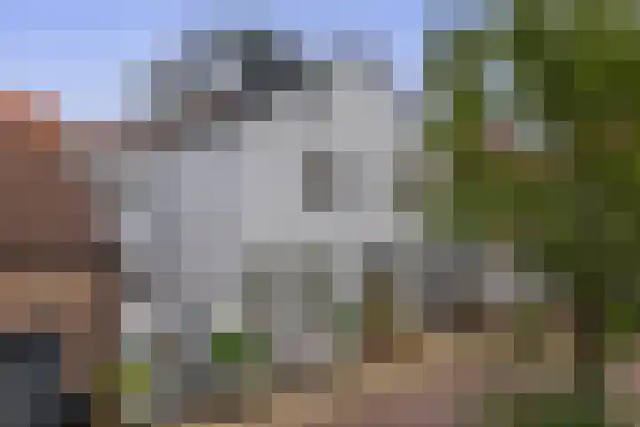 Grote Marktstraat 39 Harderwijk
