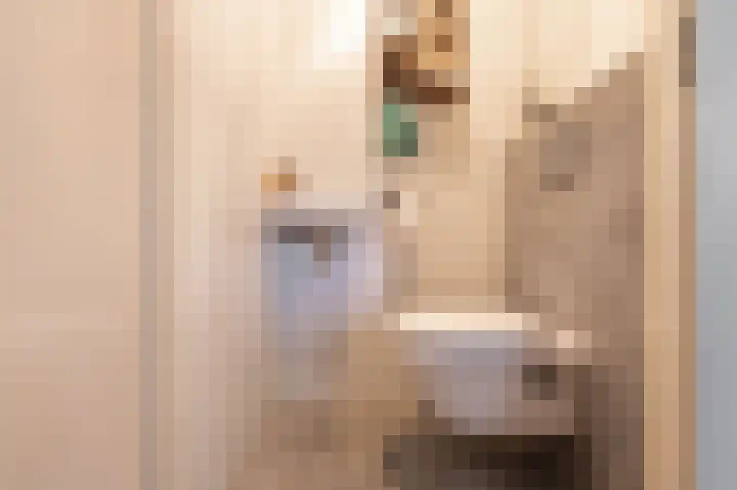 Grote Meent 3 Cothen thumbnail 10