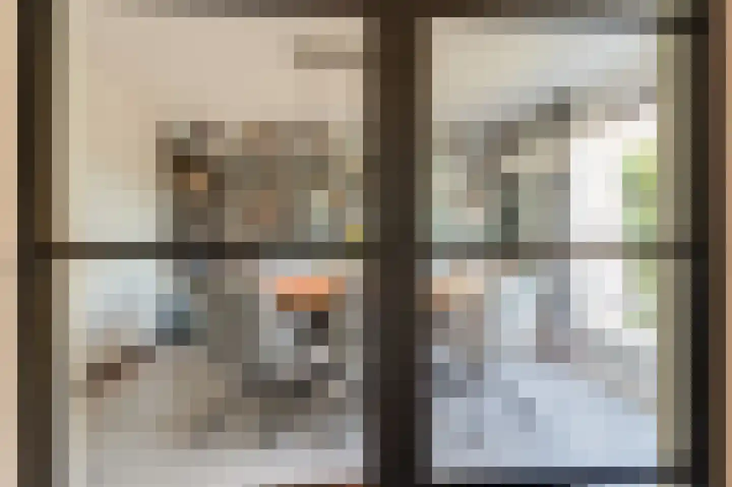 Grote Meent 3 Cothen thumbnail 15