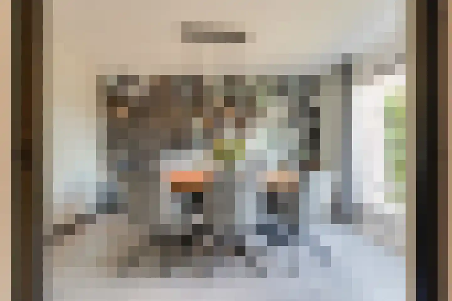 Grote Meent 3 Cothen thumbnail 16