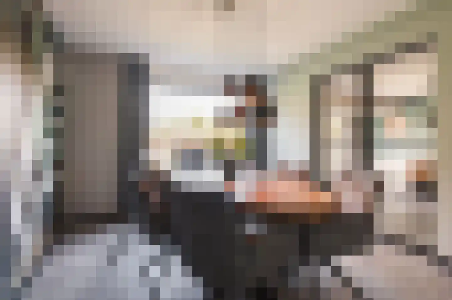 Grote Meent 3 Cothen thumbnail 18