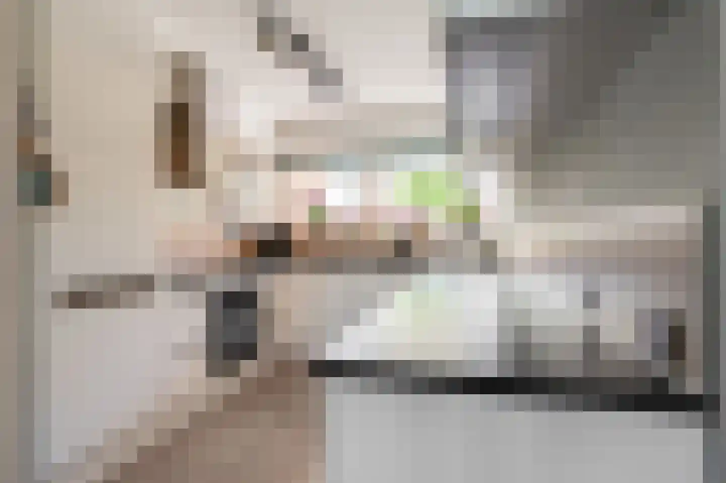 Grote Meent 3 Cothen thumbnail 21