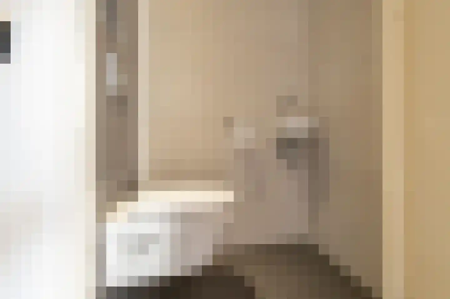 Grote Meent 3 Cothen thumbnail 30