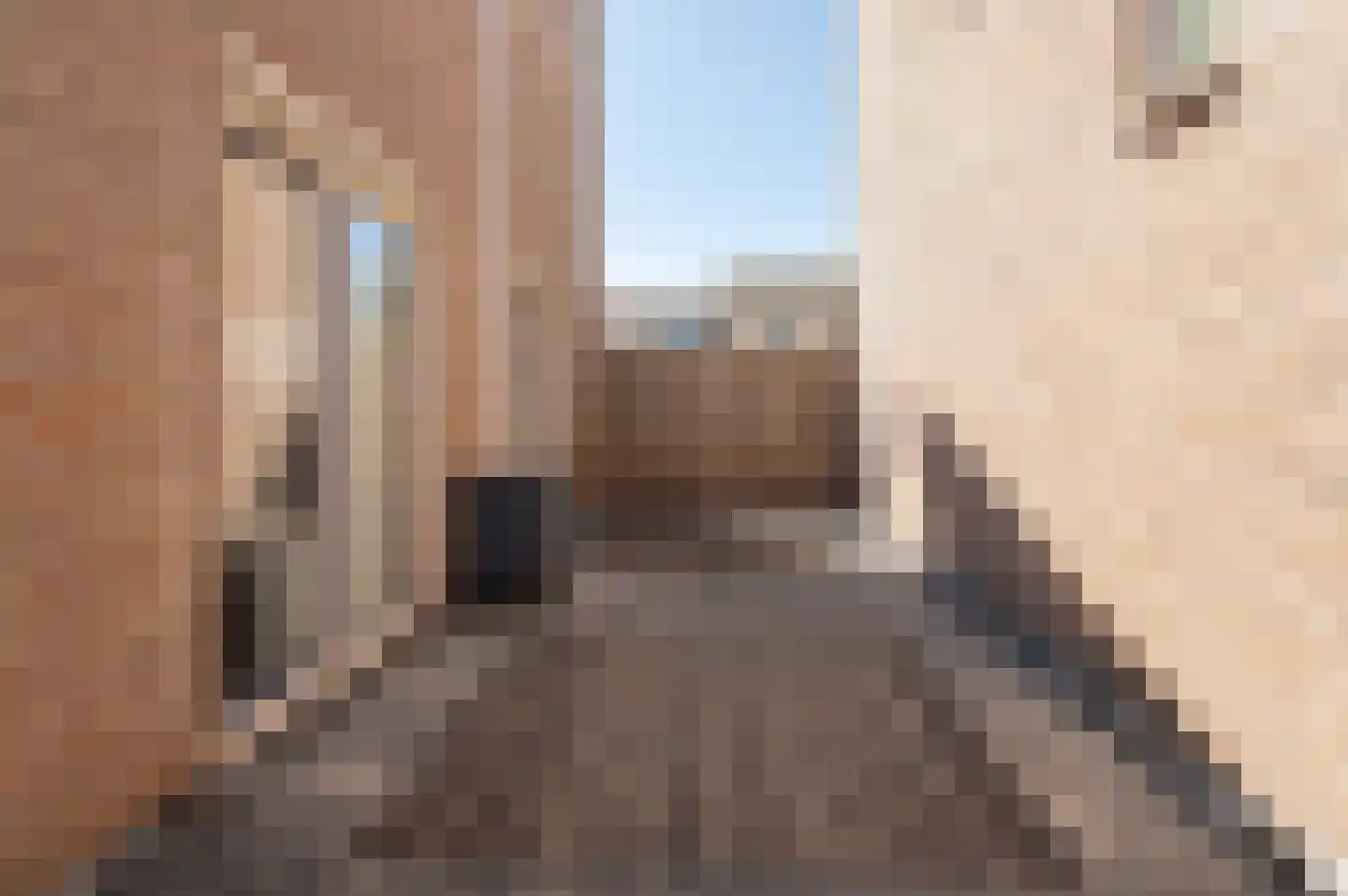 Grote Meent 3 Cothen thumbnail 35