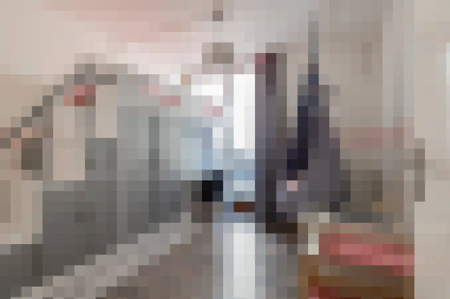 Grote Meent 3 Cothen thumbnail 36