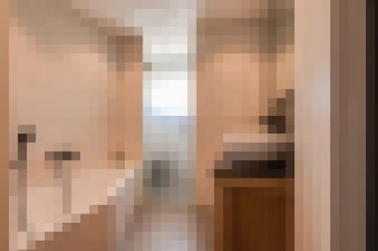 Grote Meent 3 Cothen thumbnail 39