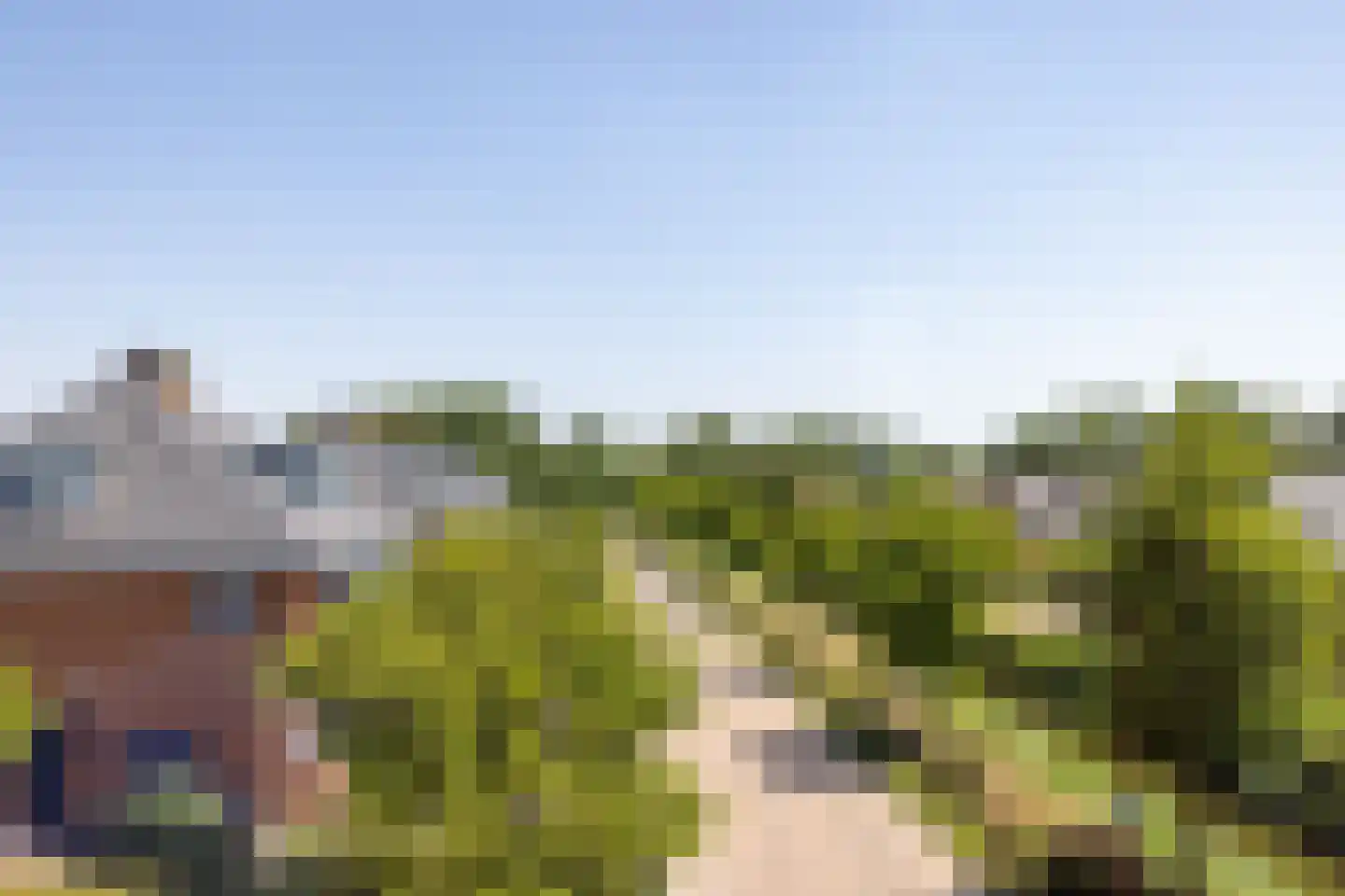 Grote Molen 23 Bleiswijk thumbnail 37
