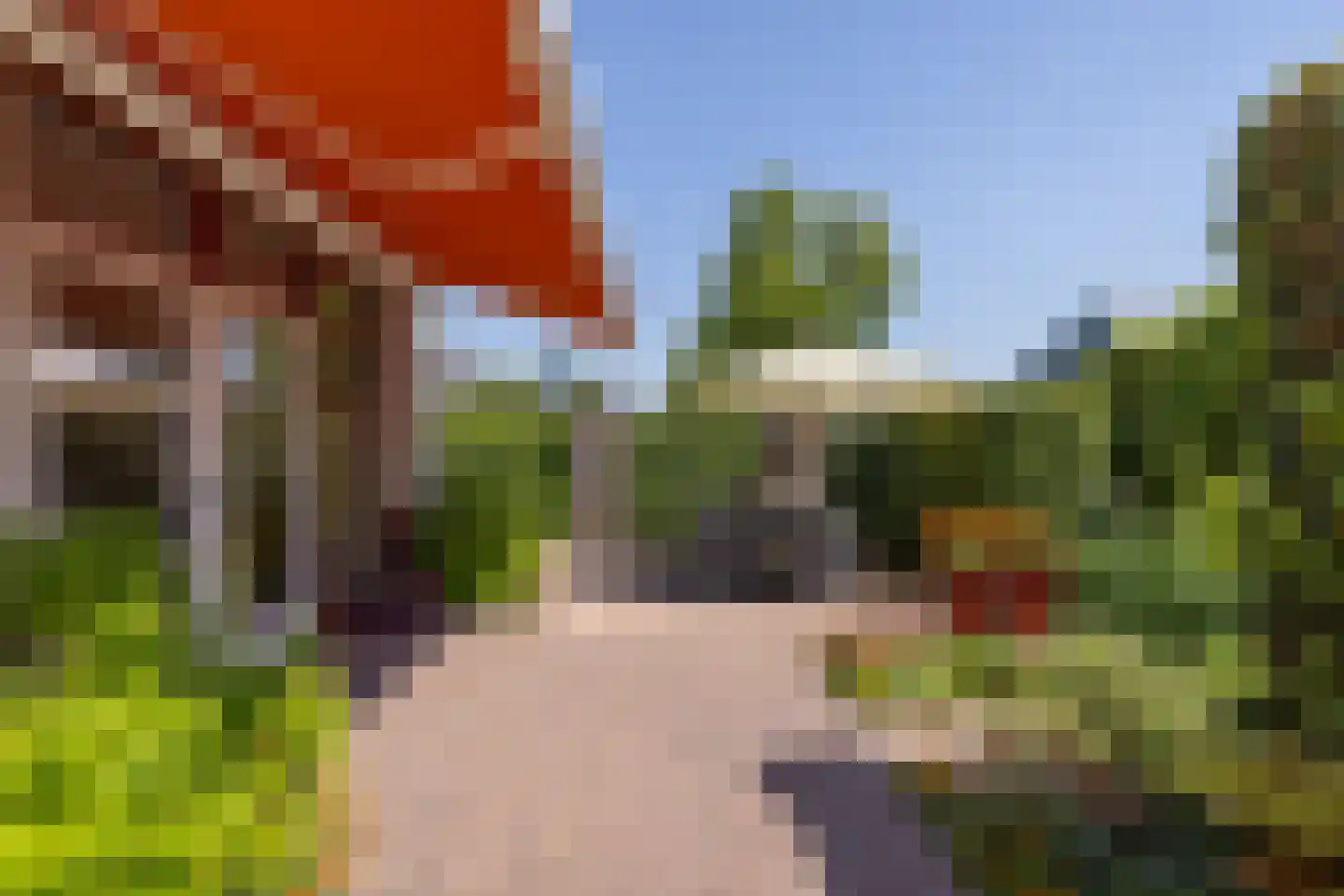 Grote Molen 23 Bleiswijk thumbnail 4