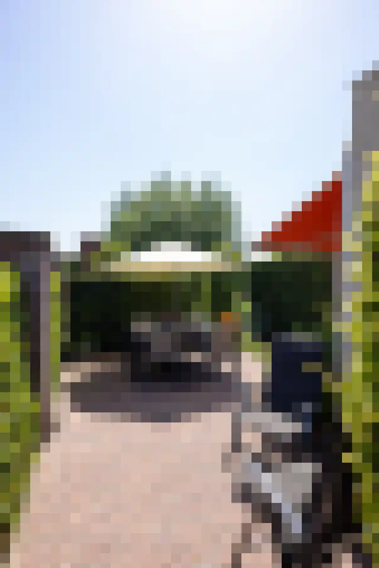 Grote Molen 23 Bleiswijk thumbnail 41