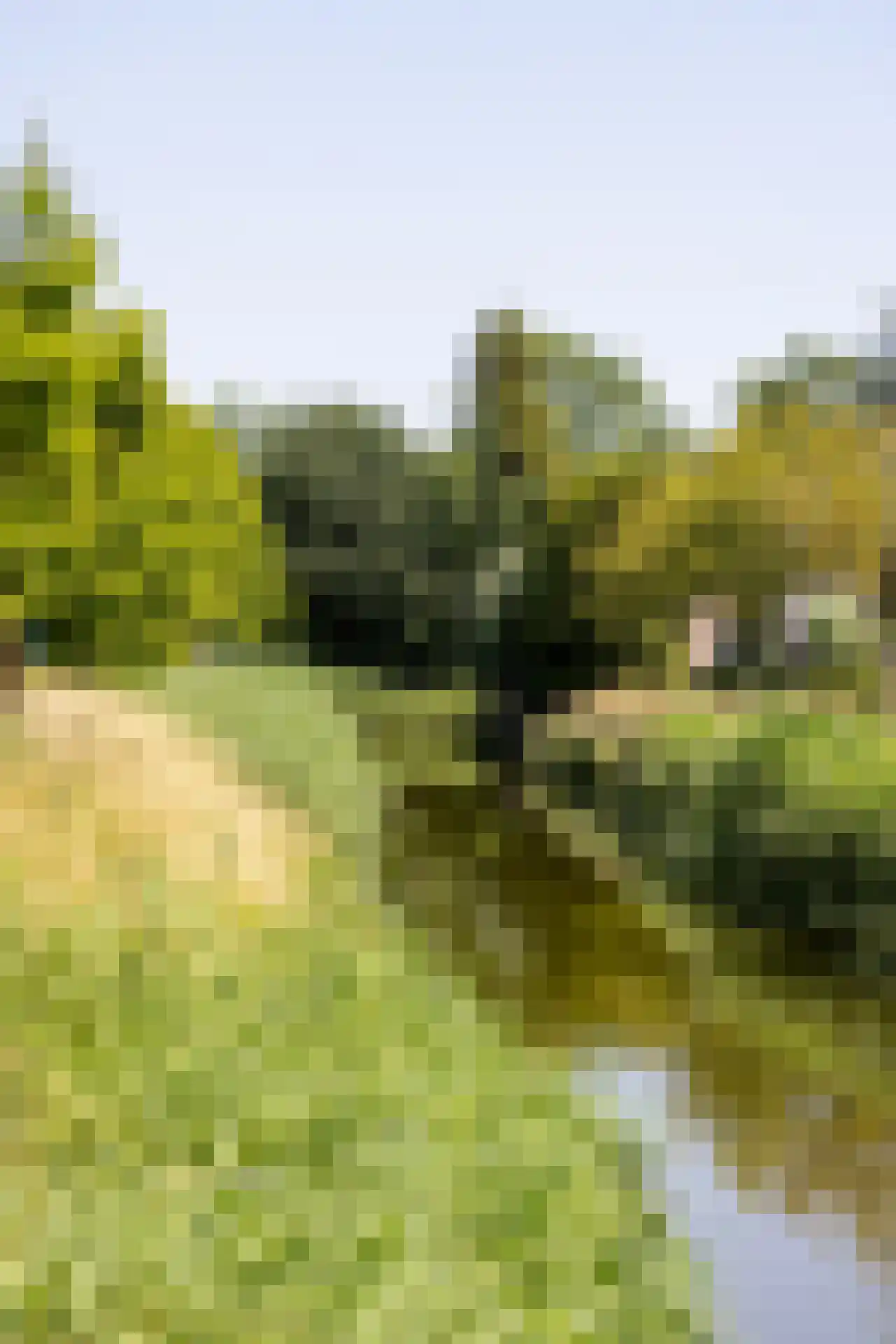 Grote Molen 23 Bleiswijk thumbnail 47