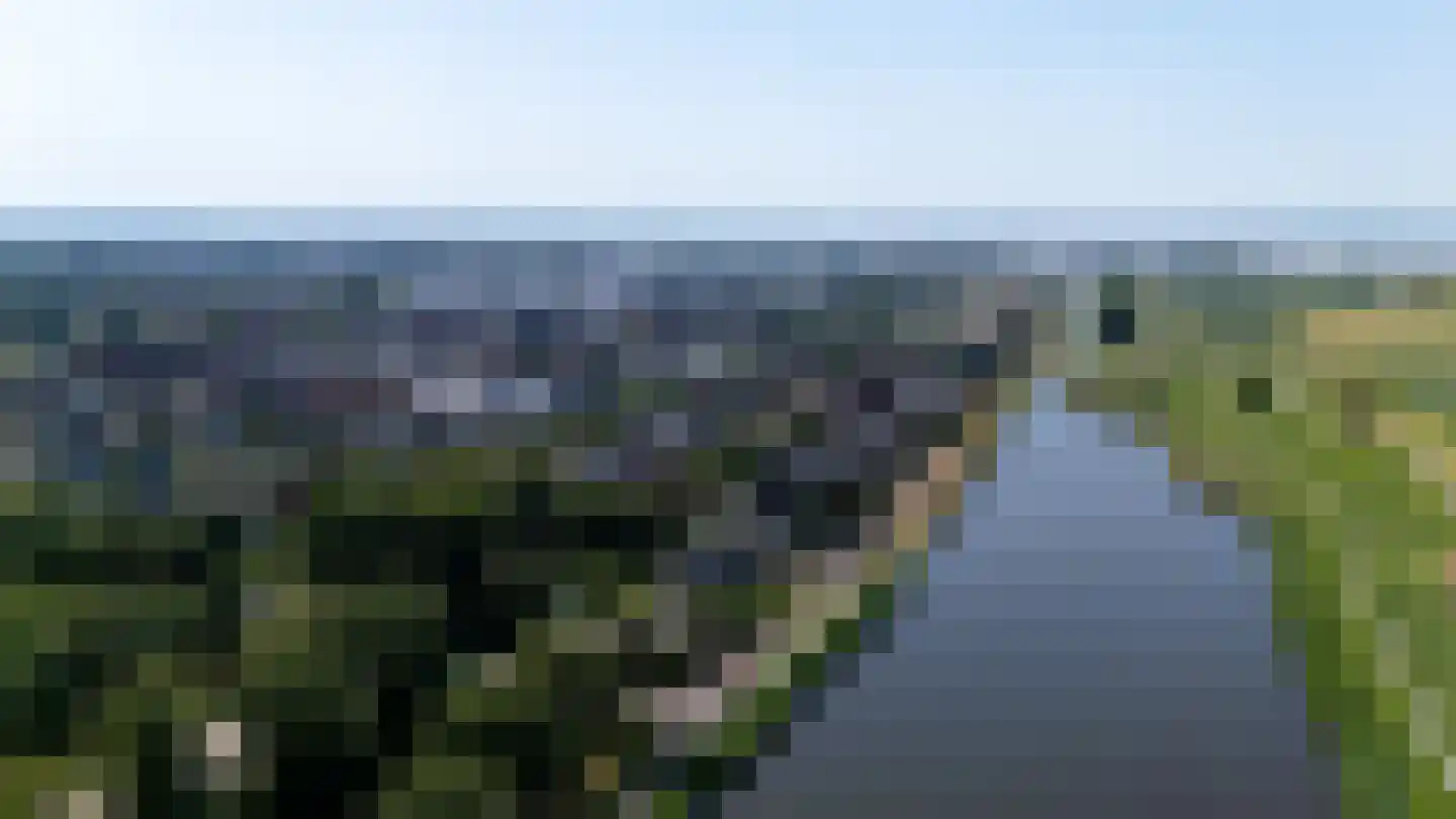 Grote Molen 23 Bleiswijk thumbnail 49