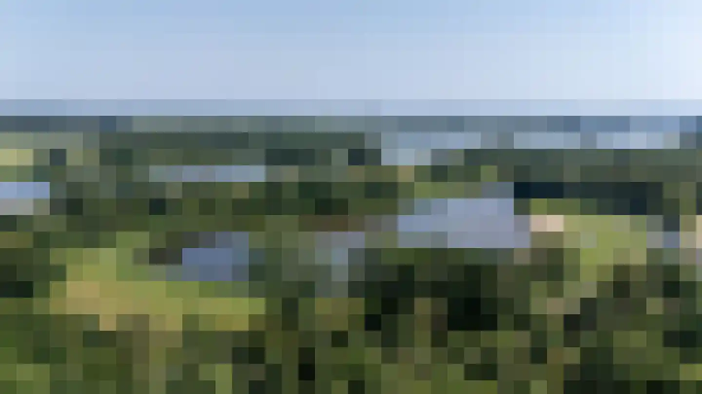Grote Molen 23 Bleiswijk thumbnail 5