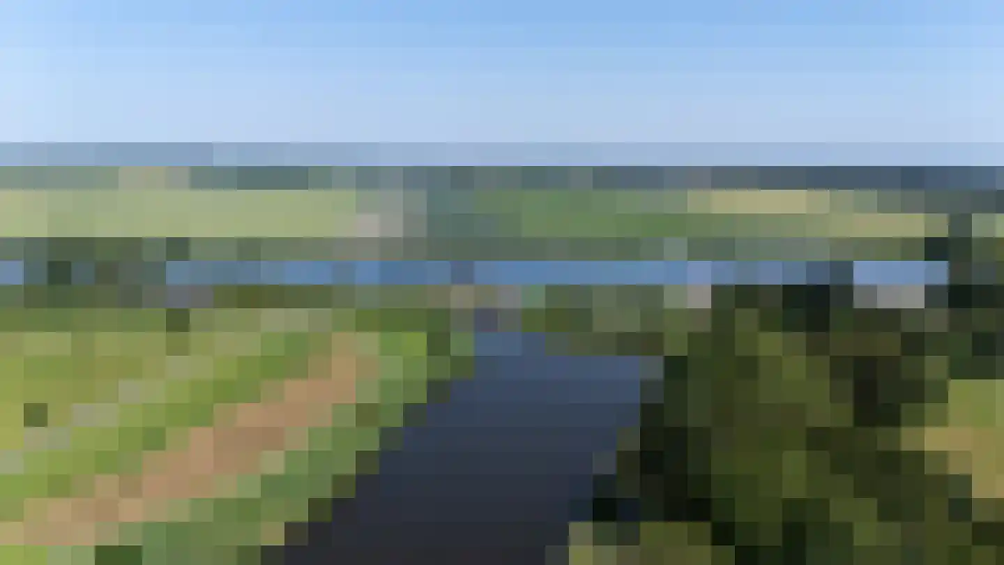 Grote Molen 23 Bleiswijk thumbnail 50