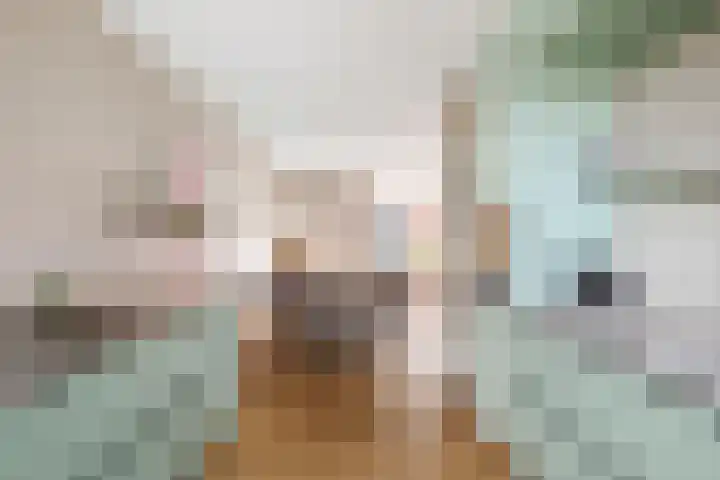 Grote Molenakker 11 Bathmen thumbnail 13