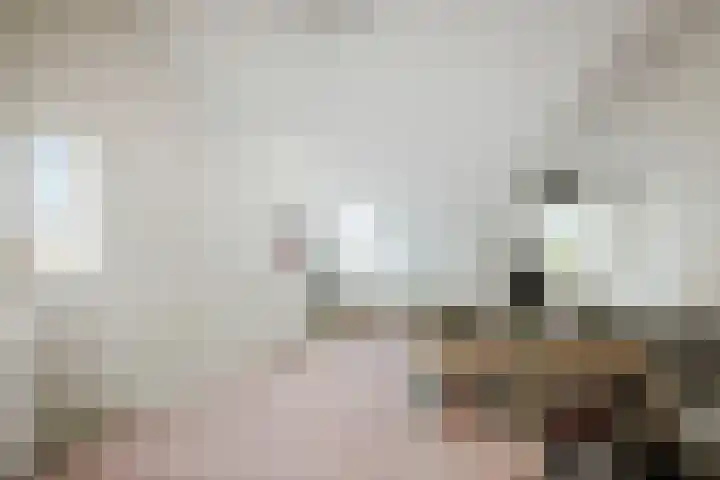 Grote Molenakker 11 Bathmen thumbnail 34
