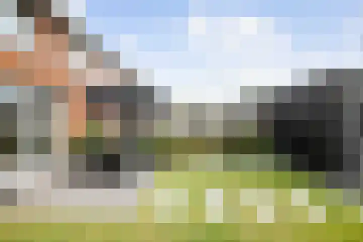 Grote Molenakker 11 Bathmen thumbnail 39