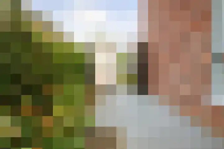 Grote Molenakker 11 Bathmen thumbnail 44