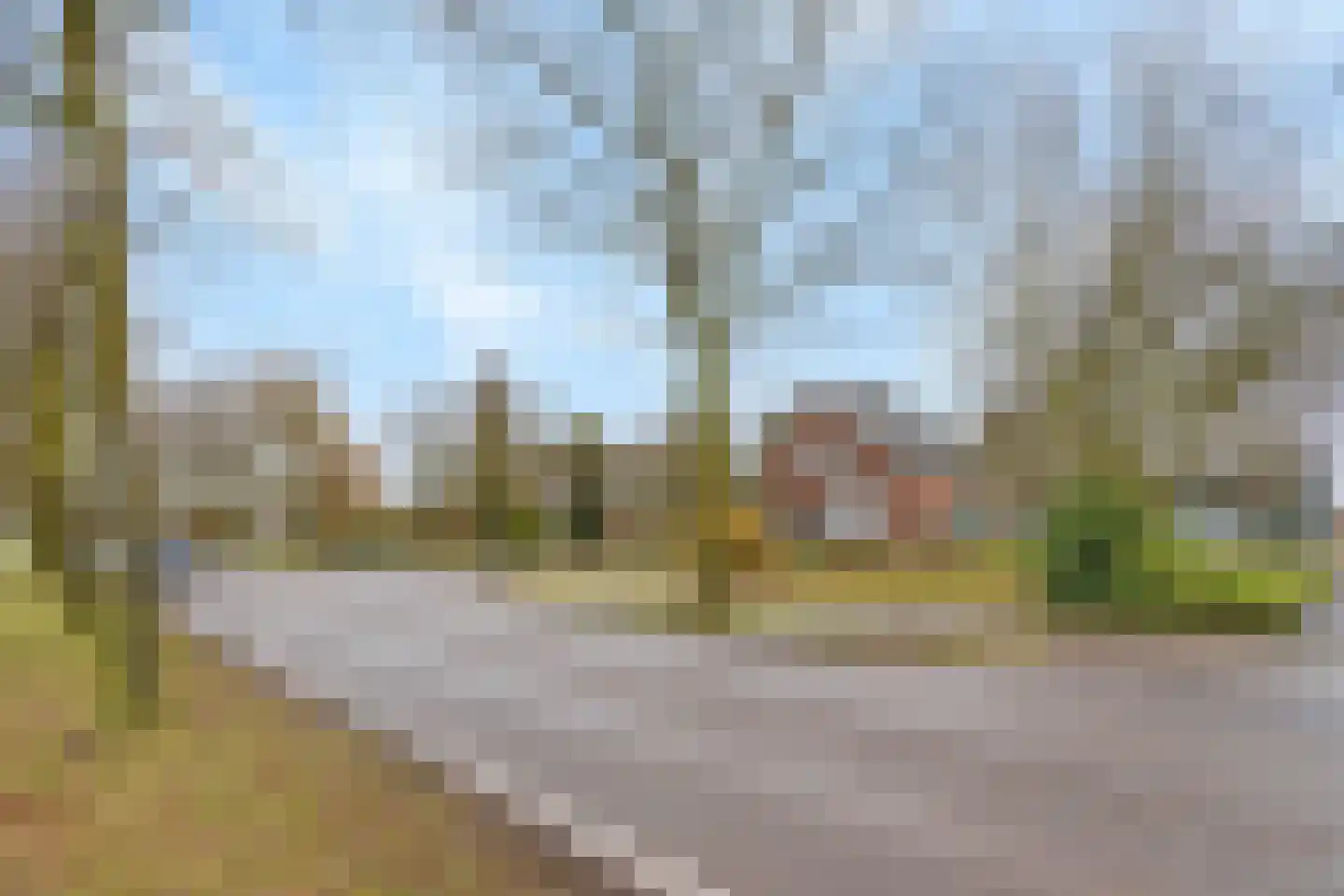Grote Molenstraat 110 Elst thumbnail 10