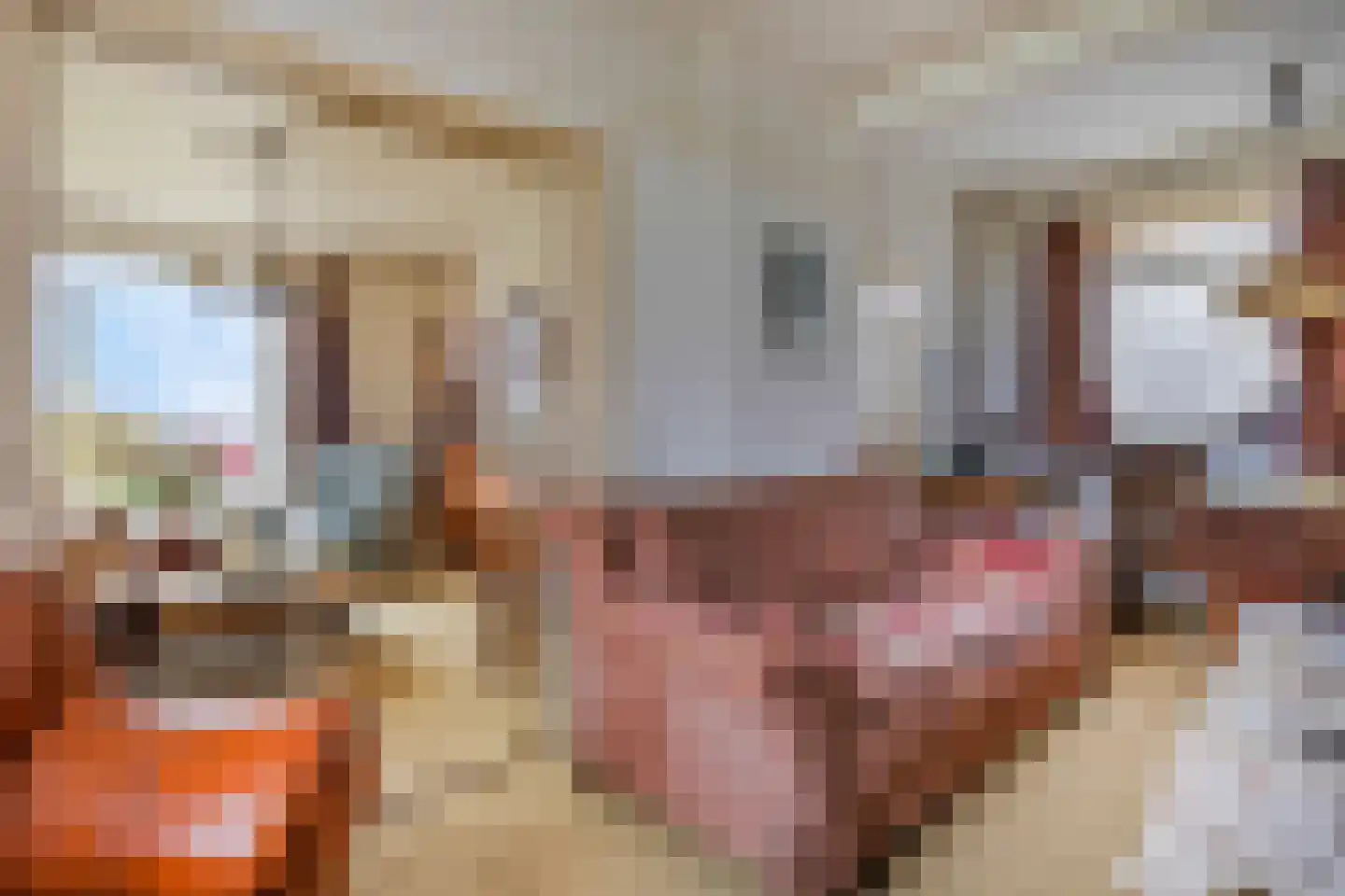 Grote Molenstraat 110 Elst thumbnail 12