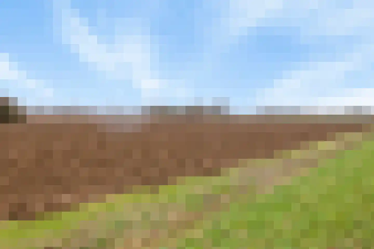 Grote Molenstraat 110 Elst thumbnail 6