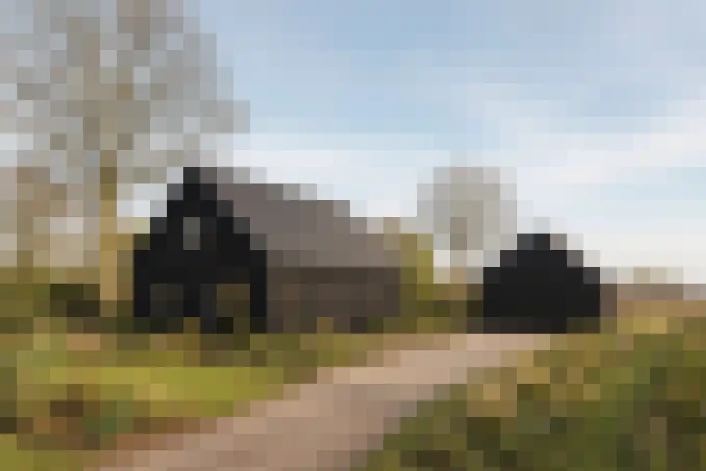 Grote Molenstraat 110 Elst thumbnail 9