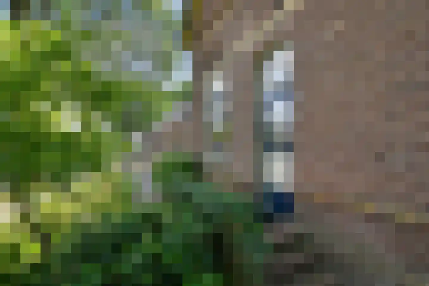 Grote Molenstraat 20 Elst thumbnail 11
