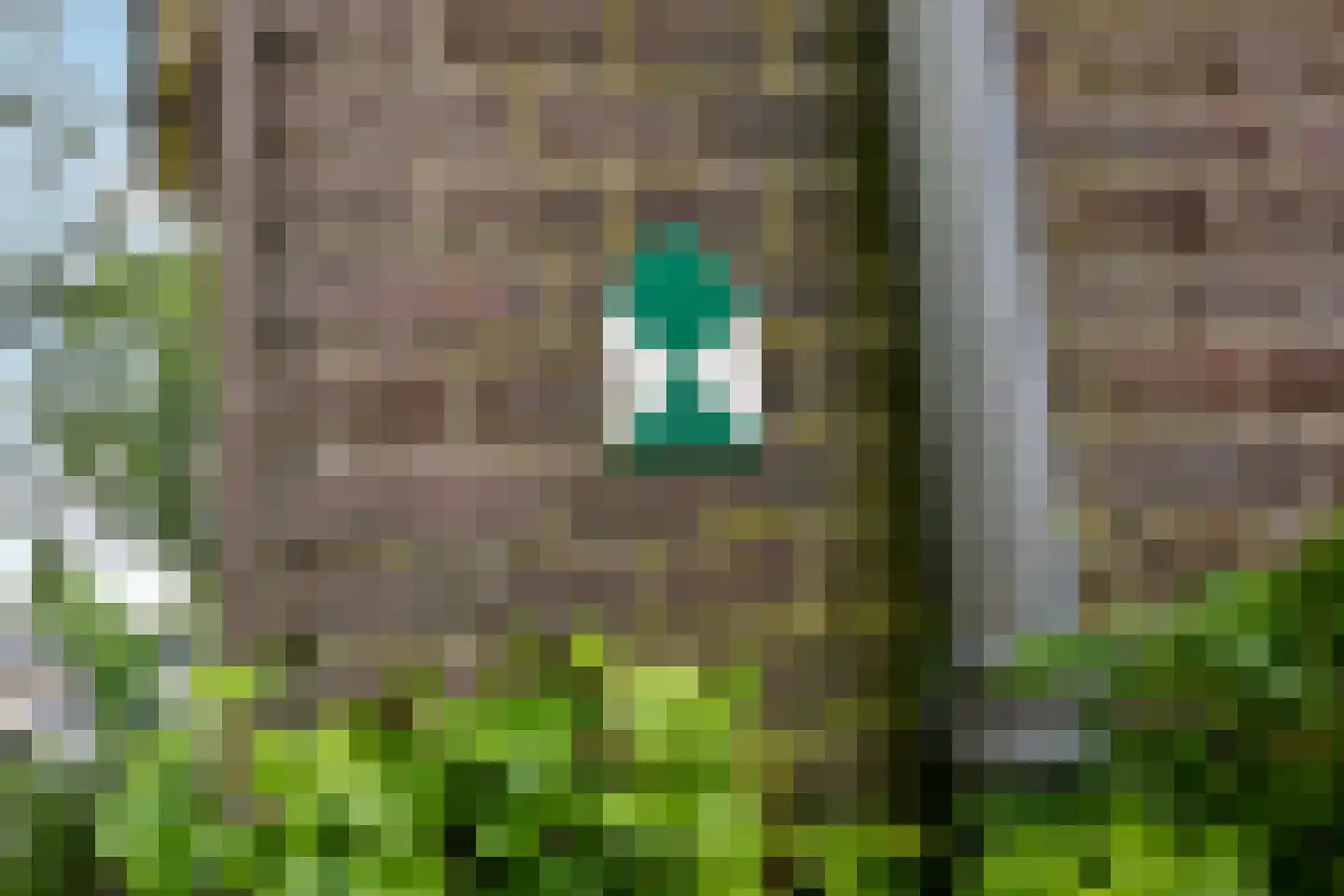 Grote Molenstraat 20 Elst thumbnail 13