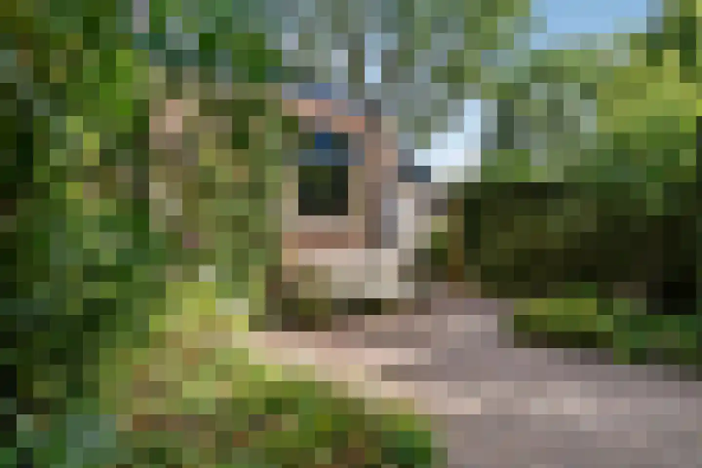 Grote Molenstraat 20 Elst thumbnail 20