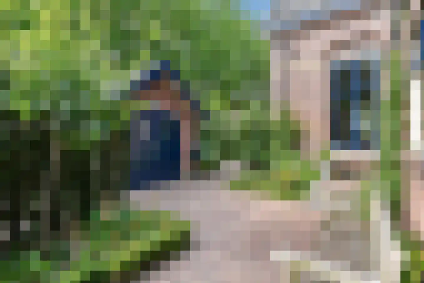 Grote Molenstraat 20 Elst thumbnail 22