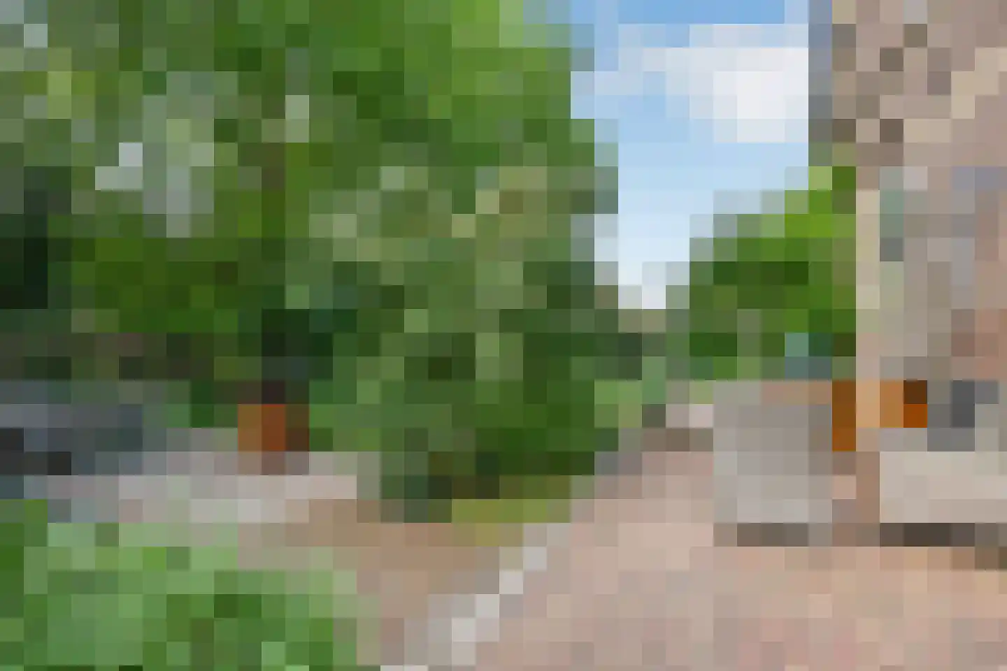Grote Molenstraat 20 Elst thumbnail 23