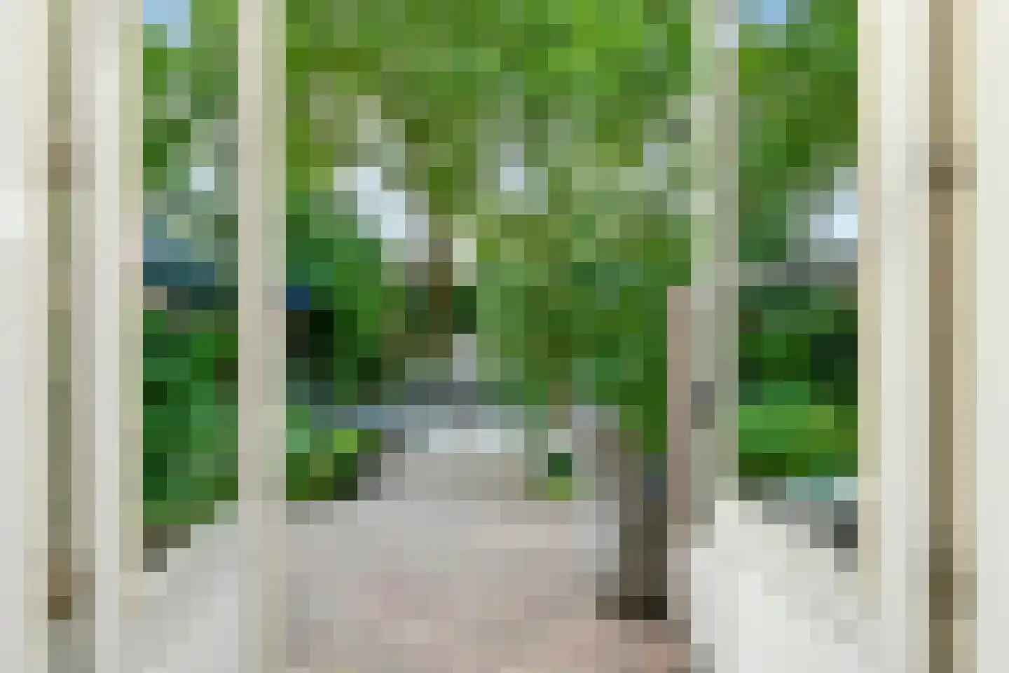 Grote Molenstraat 20 Elst thumbnail 24