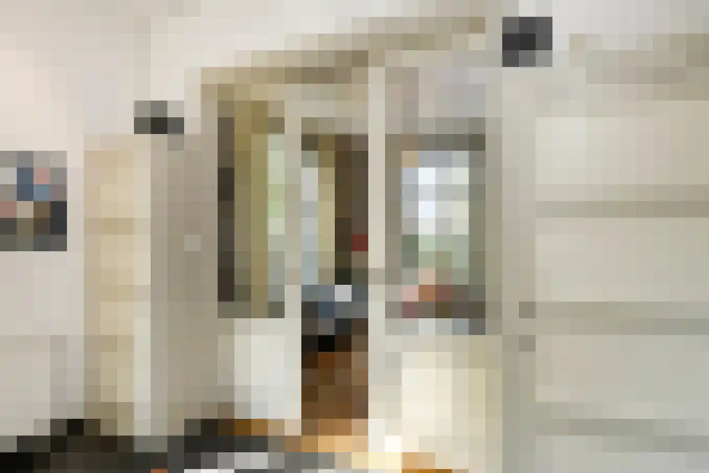 Grote Molenstraat 20 Elst thumbnail 34