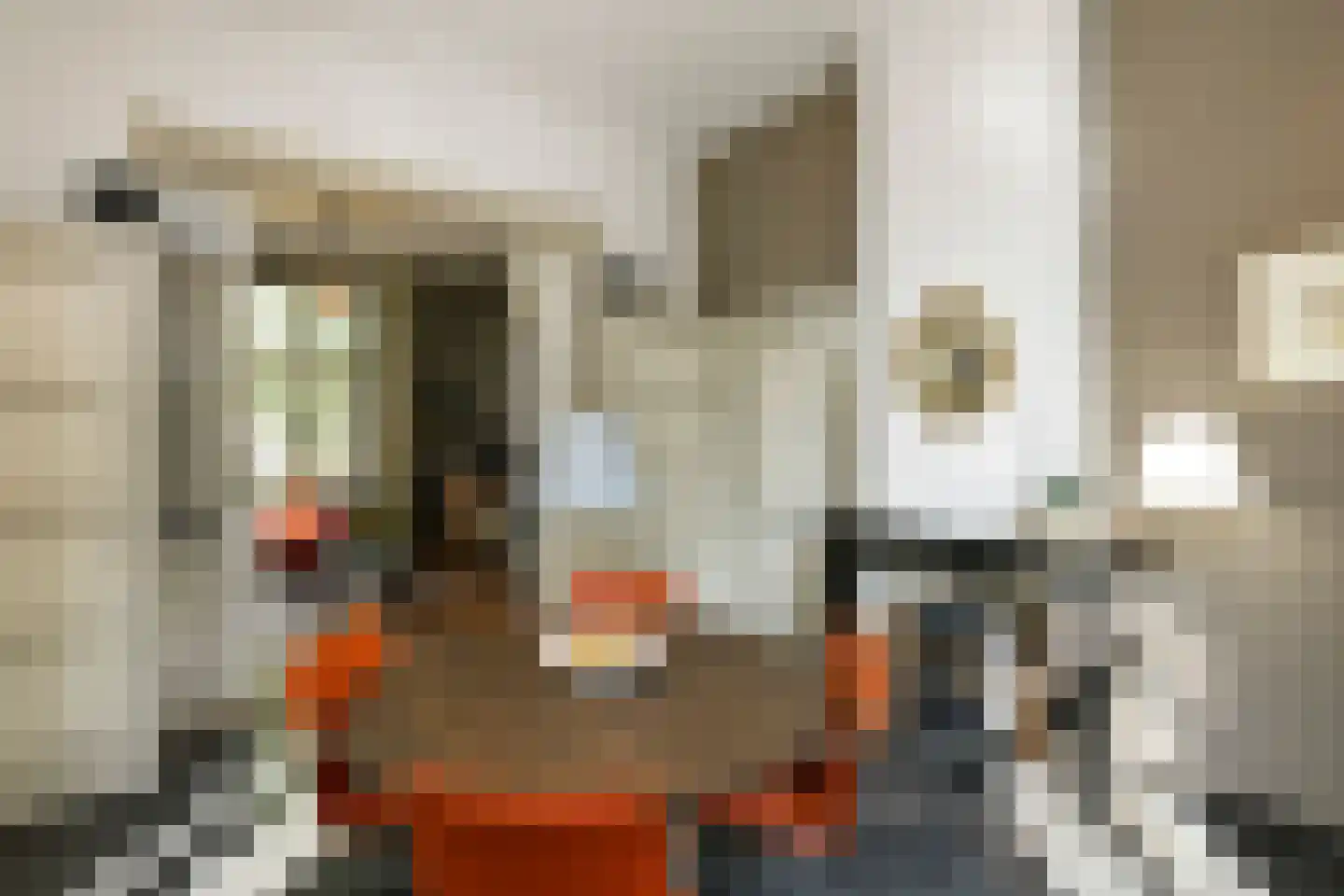 Grote Molenstraat 20 Elst thumbnail 36