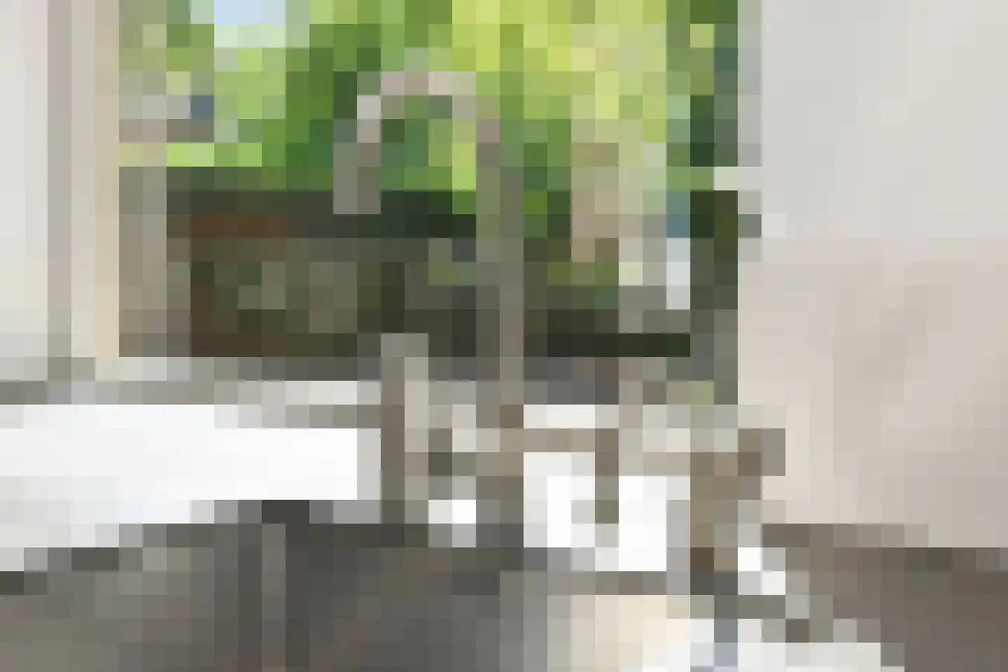 Grote Molenstraat 20 Elst thumbnail 43