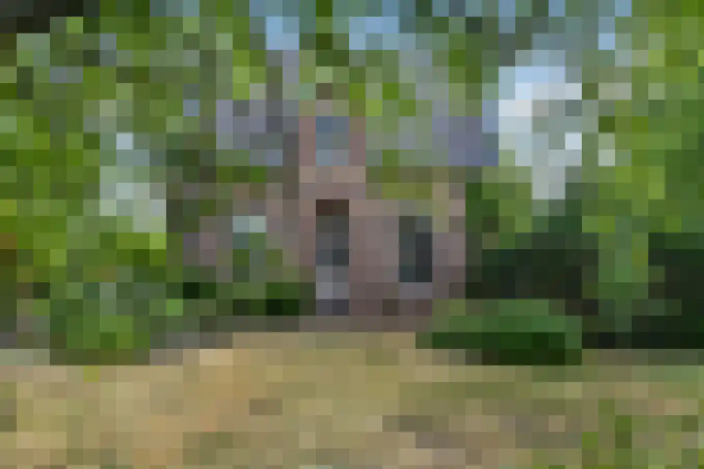 Grote Molenstraat 20 Elst thumbnail 5