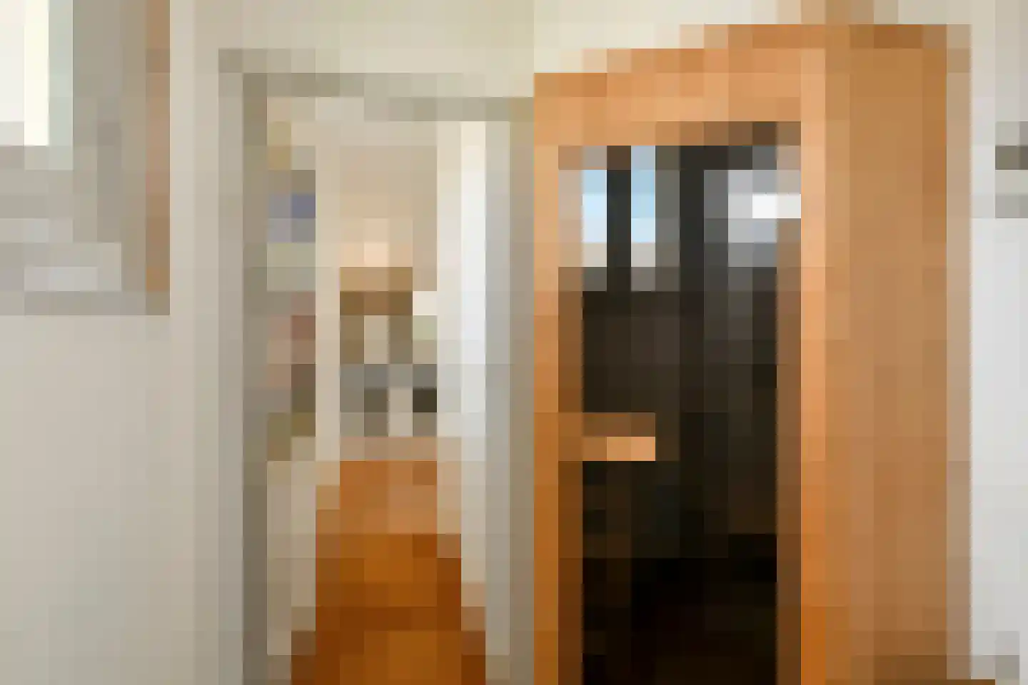 Grote Molenstraat 20 Elst thumbnail 50
