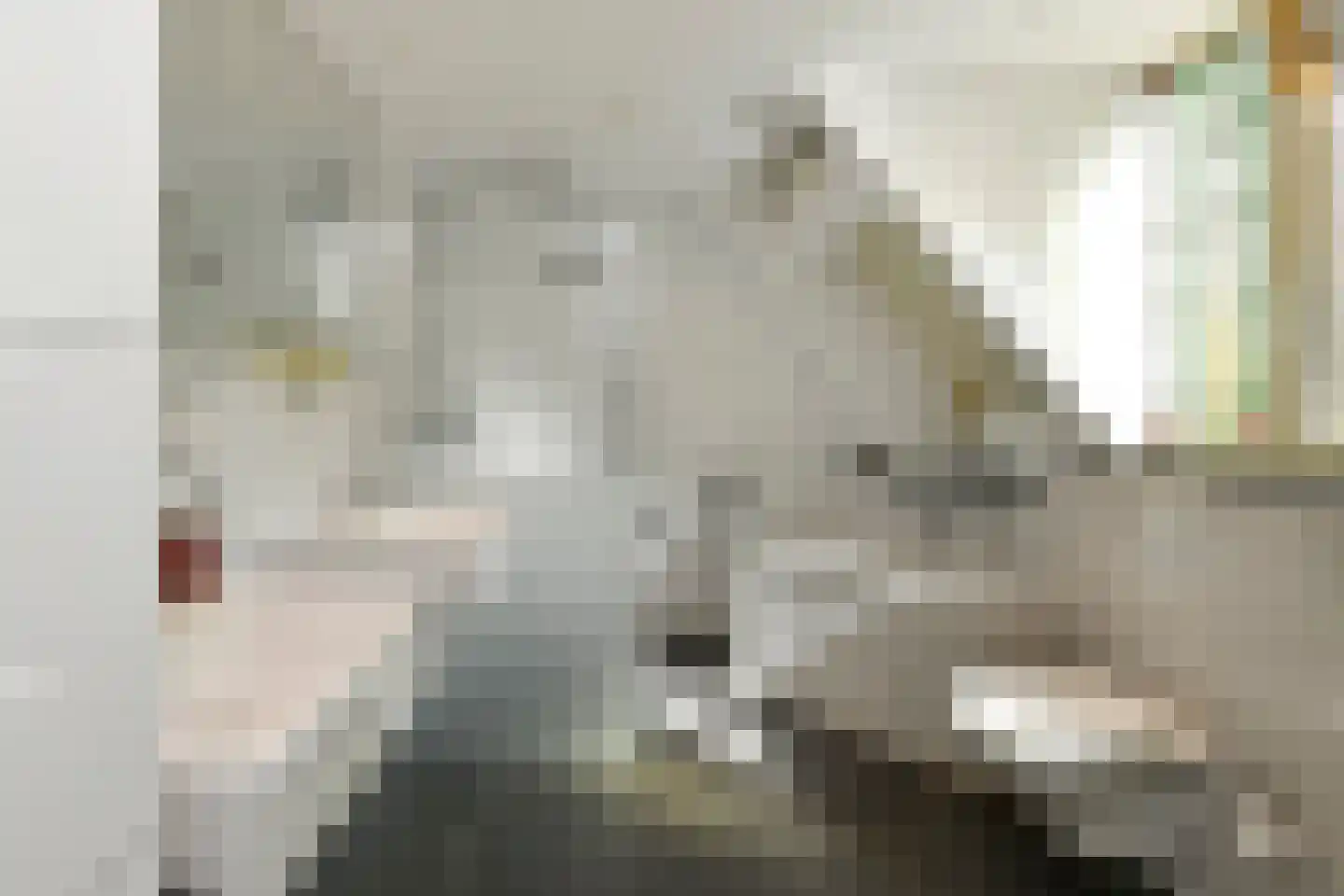 Grote Molenstraat 20 Elst thumbnail 68