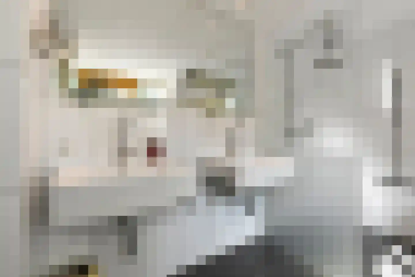 Grote Molenstraat 20 Elst thumbnail 69