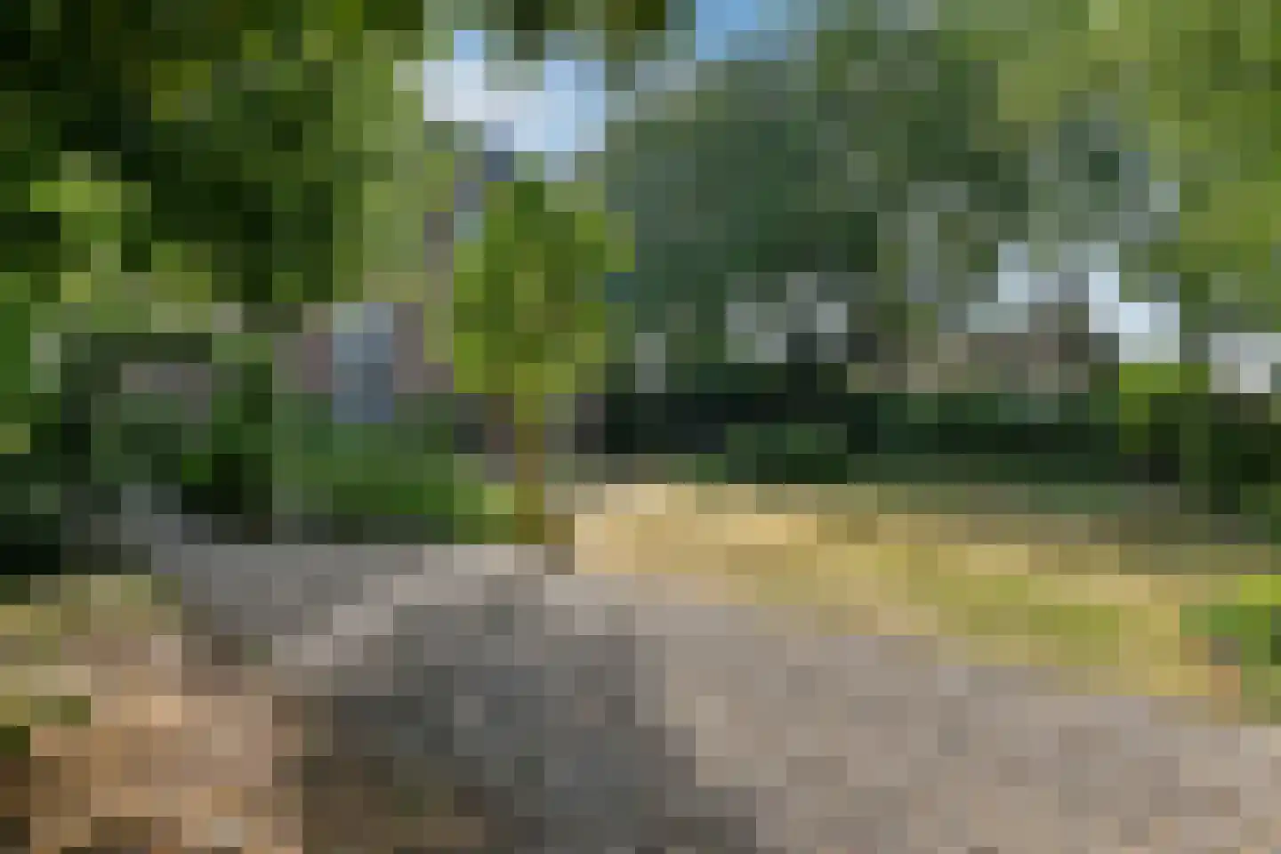 Grote Molenstraat 20 Elst thumbnail 7