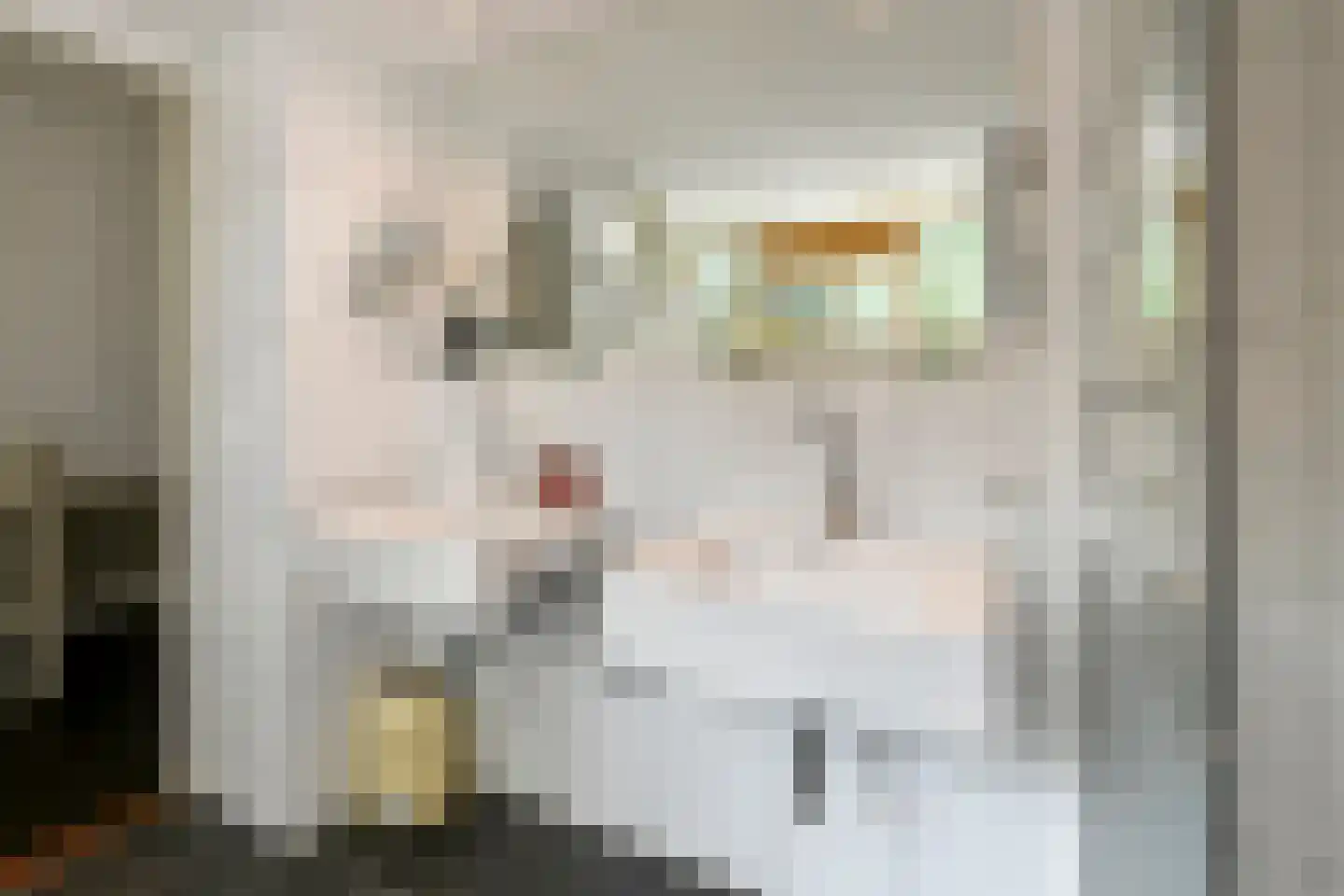 Grote Molenstraat 20 Elst thumbnail 70