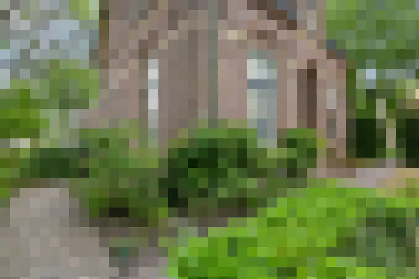 Grote Molenstraat 20 Elst thumbnail 8